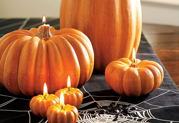 Imagen crisantemos calabazas 1