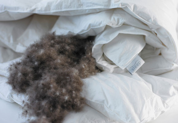 El edredón más caro del mundo 7 El edredón más caro del mundo