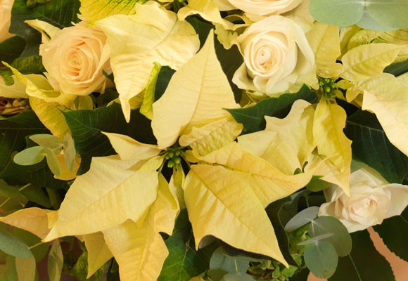 Bodas y eventos en Navidad 8 Bodas y eventos en Navidad