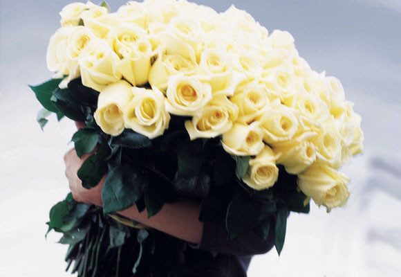 El día de los enamorados 9 Rosas blancas