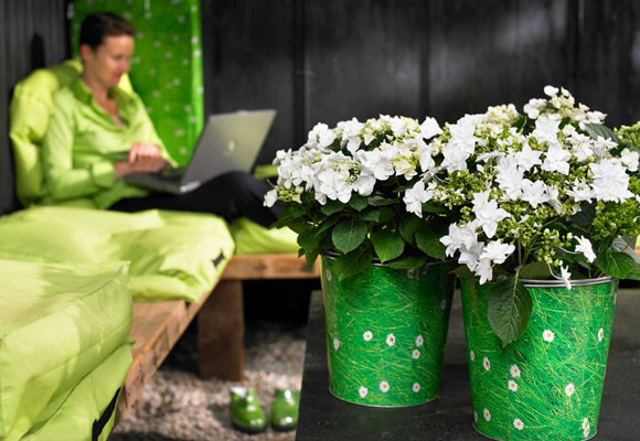 Aquellos días de sol...