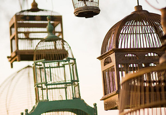 Jaulas para decorar 18 Jaulas
