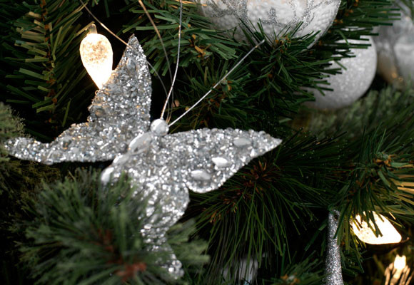 Mariposas en Navidad 7 Mariposas en Navidad