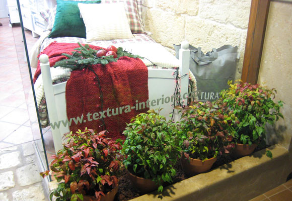 Textura Interiors, en Ciutadella 8 Textura Interiors en Ciutadella