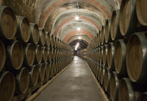 Imagen Enoturismo de la mano de Bodegas Protos