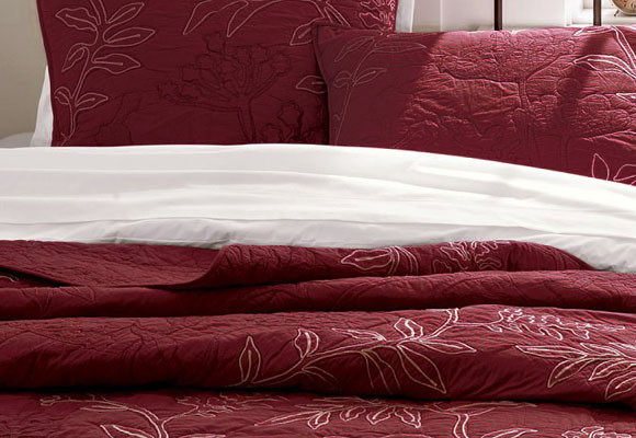 Burdeos: Vino y tendencias