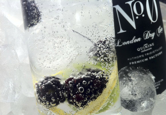 Trucos y recetas para el GinTonic perfecto