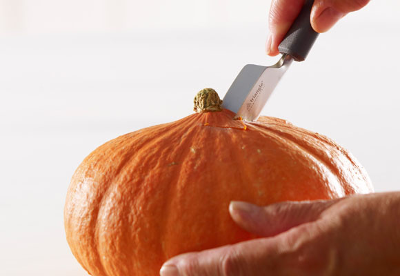 Convierte una calabaza en florero 7 Convierte una calabaza en florero