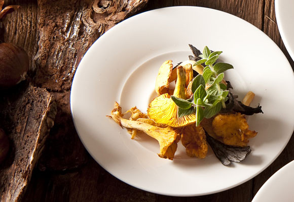 Consejos para recoger y conservar setas 9 Consejos para recoger y conservar setas