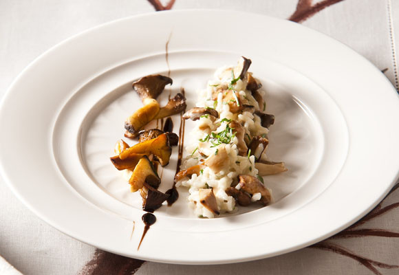 Consejos para recoger y conservar setas 7 Consejos para recoger y conservar setas