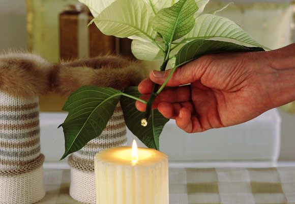 Alta costura para la estrella de la Navidad 8 Alta costura para la estrella de la Navidad