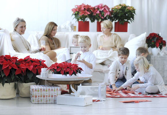 Una jornada navideña