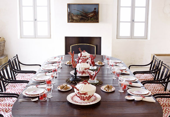 Los corales marinos están de moda