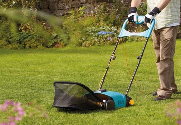 Cuidados fin de invierno para tus plantas 8 Cuidados fin de invierno para tus plantas