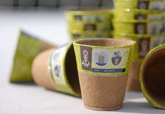 Cuidados fin de invierno para tus plantas 9 Cuidados fin de invierno para tus plantas