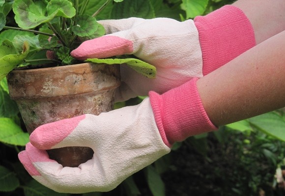 Cuidados fin de invierno para tus plantas 10 Cuidados fin de invierno para tus plantas