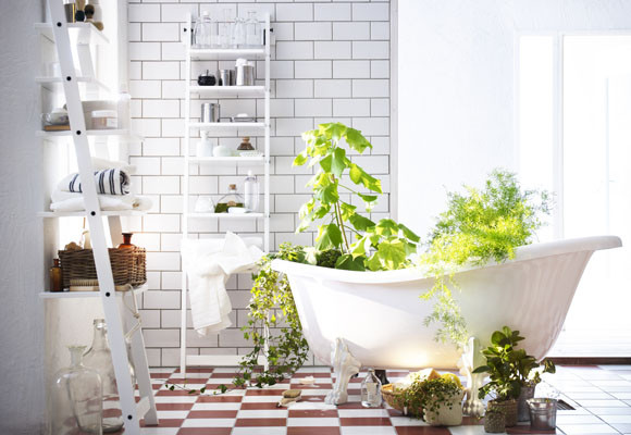 Decora el baño con plantas