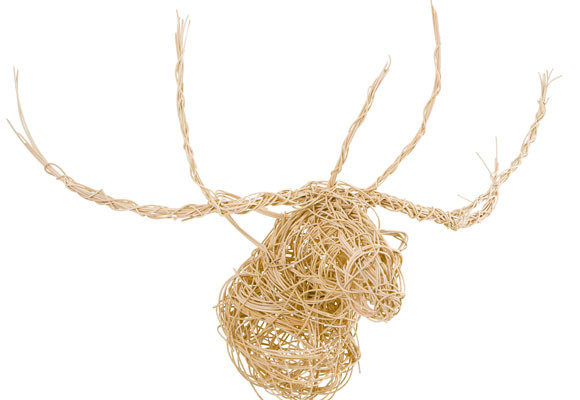 Glenfiddich Collection 125 10 Glenfiddich Collection 125