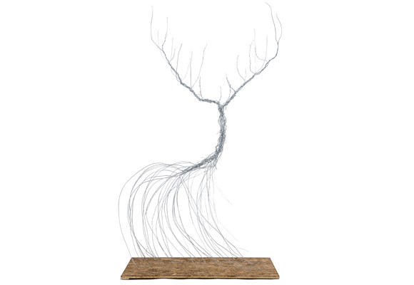 Glenfiddich Collection 125 13 Glenfiddich Collection 125