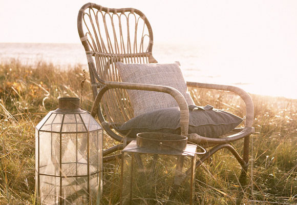 Vitamina D 7 Vitamina D