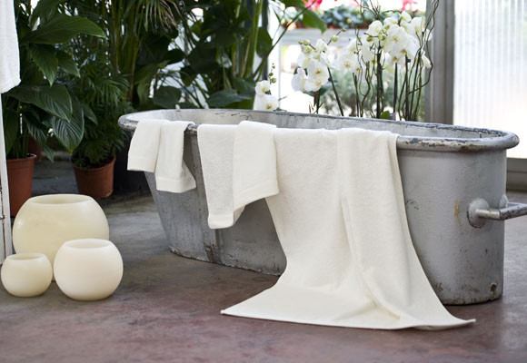 Naturaleza y color gris 7 Naturaleza y color gris