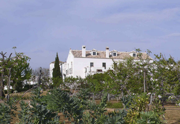 Cortijo Suerte Alta