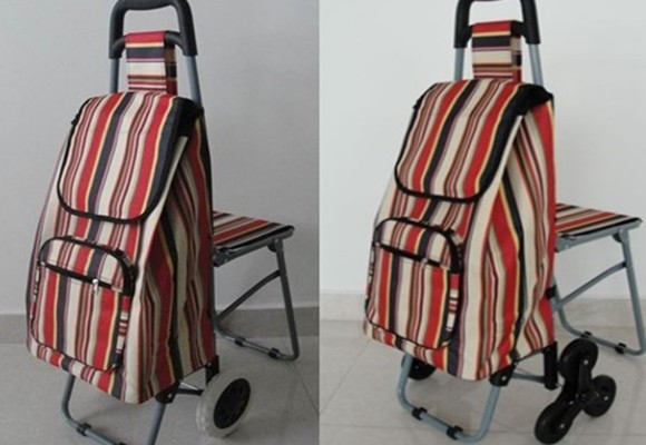 Carritos para ir a la compra 14 Carritos para ir a la compra: elige bien, ¡son para siempre!