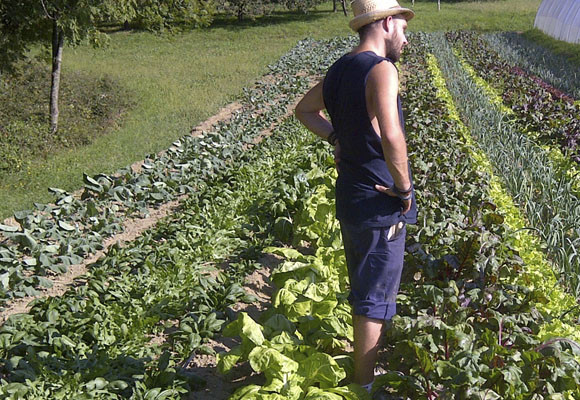 Alimentación sana y responsable 7 Alimentación sana y respectuosa con el medio ambiente