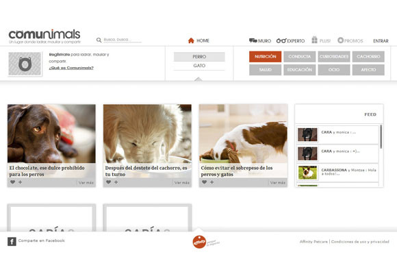 comunimals_2.jpg