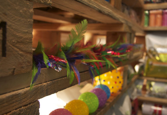 Sakatia Fauna, por Silvia Alfaras