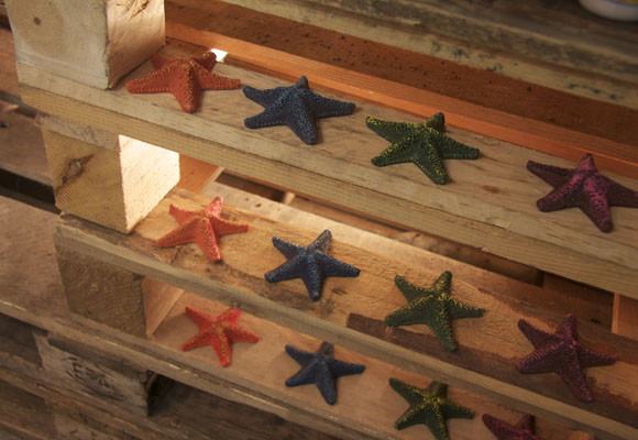 Sakatia Fauna, por Silvia Alfaras