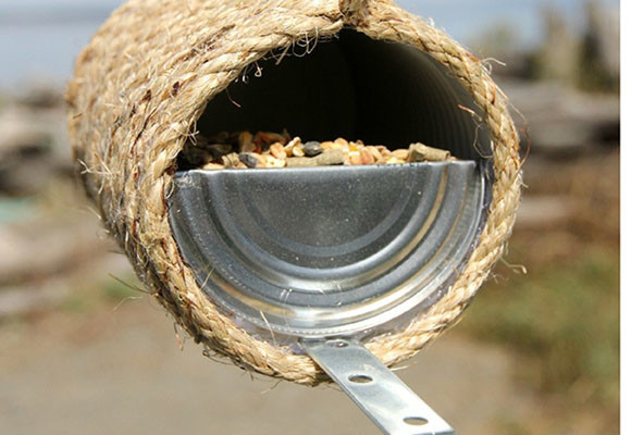 Comederos de pájaros para hacer tu mismo