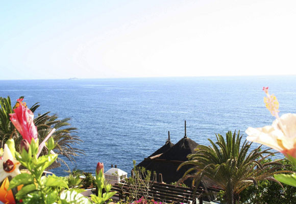 Se acerca el puente de diciembre… ¡¡escápate!! 15 HOTEL JARDÍN TROPICAL EN TENERIFE