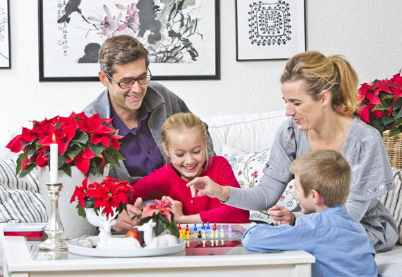 Pre-navidad 13 Pre-navidad