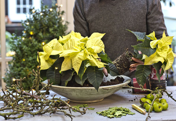 Un toque rústico en tu mesa 8 Un toque rústico en tu mesa