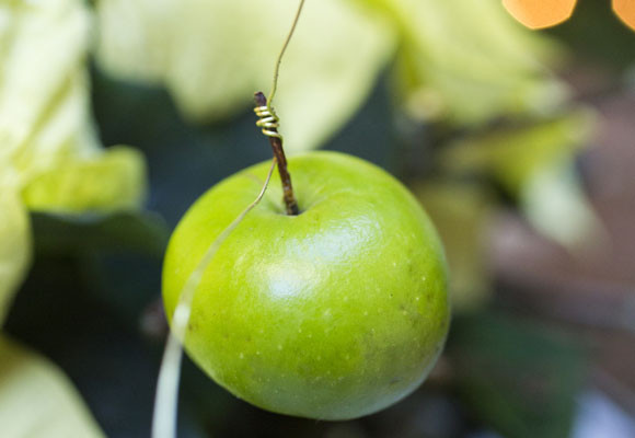 Un toque rústico en tu mesa 11 Un toque rústico en tu mesa