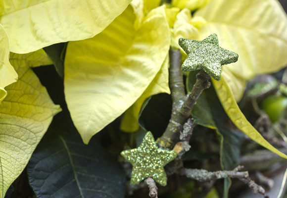 Un toque rústico en tu mesa 14 Un toque rústico en tu mesa