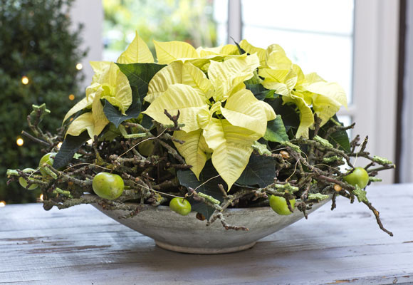 Un toque rústico en tu mesa 15 Un toque rústico en tu mesa