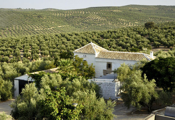 Cortijo Spiritu Santo