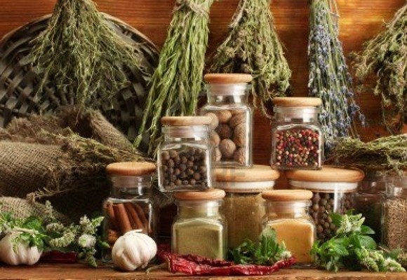 Hierbas medicinales contra los males del frío