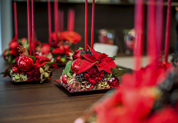 Ponsettias para todos los estilos 9 Ponsettias para todos los estilos