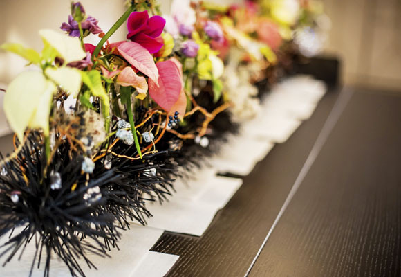 Ponsettias para todos los estilos 13 Ponsettias para todos los estilos