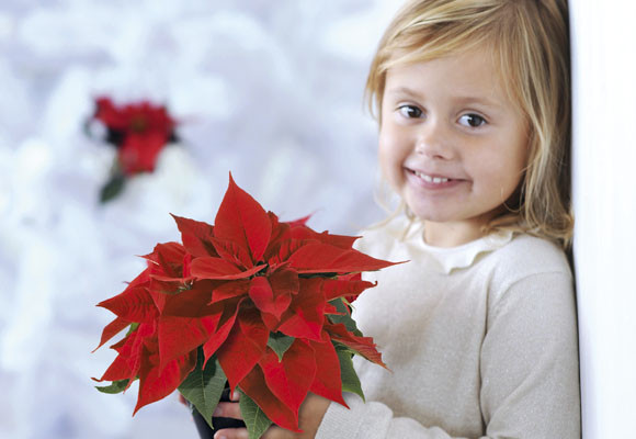 Costumbres europeas en Adviento y Navidad 24 Costumbres europeas en Adviento y Navidad