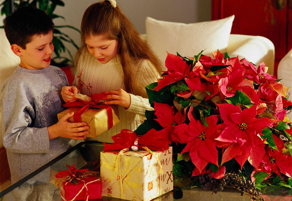 Costumbres europeas en Adviento y Navidad 19 Costumbres europeas en Adviento y Navidad