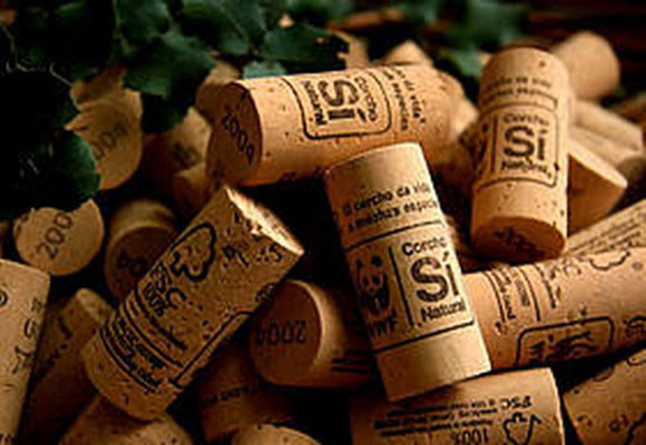 Imagen Vino ecolÃ³gico: en quÃ© se diferencia del tradici