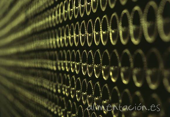 Imagen Vino ecolÃ³gico: en quÃ© se diferencia del tradici