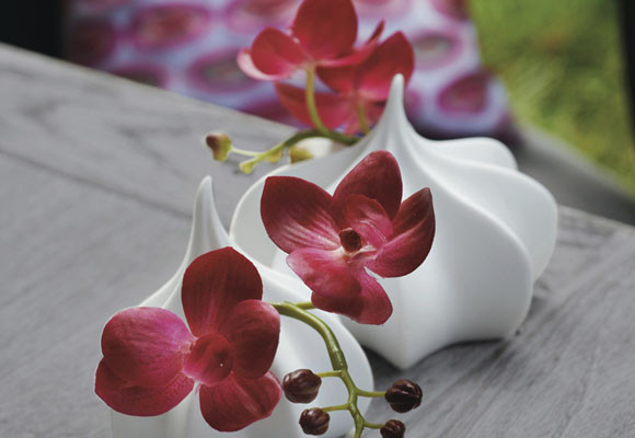 Abran paso a las flores! 9 Abran paso a las flores!