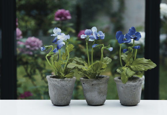 Abran paso a las flores! 13 Abran paso a las flores!