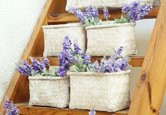 Las flores, el tesoro de la primavera 11 Las flores, el tesoro de la primavera