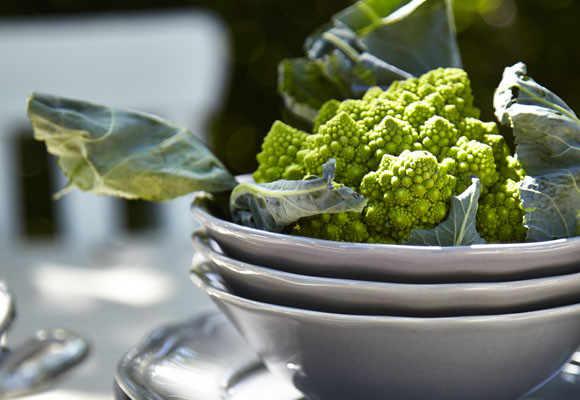 Un comedor escondido en el jardín